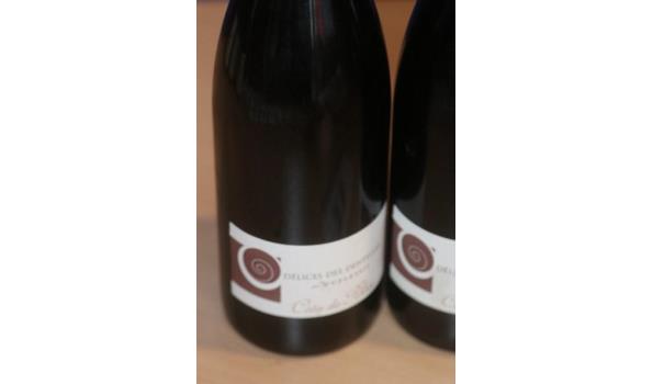 4 flessen à 75cl rode wijn DELICES DES DENTELLES, Dom Duplessis, Côtes des Rhône, 2017, Frankrijk